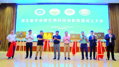 湖北省農(nóng)業(yè)微生物科技創(chuàng)新聯(lián)盟成立